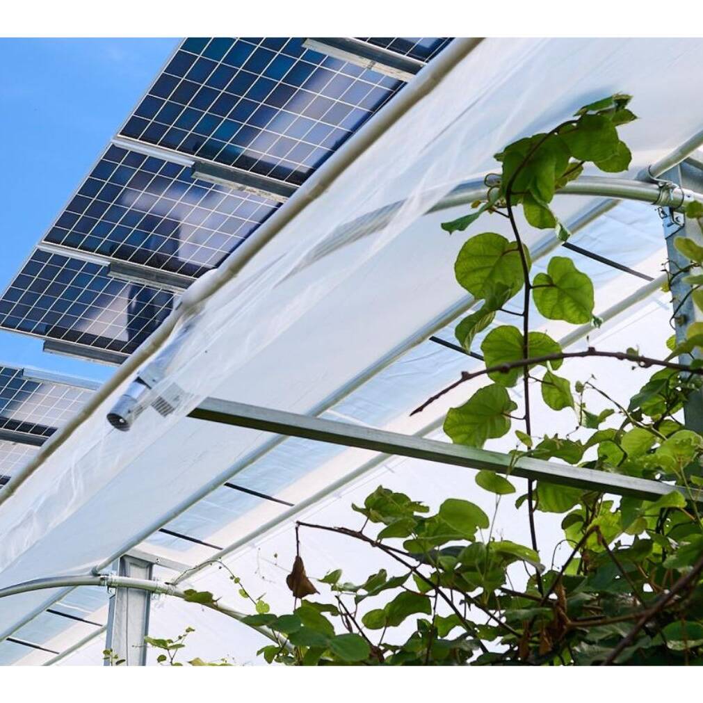 Immagine agrivoltaico in tour