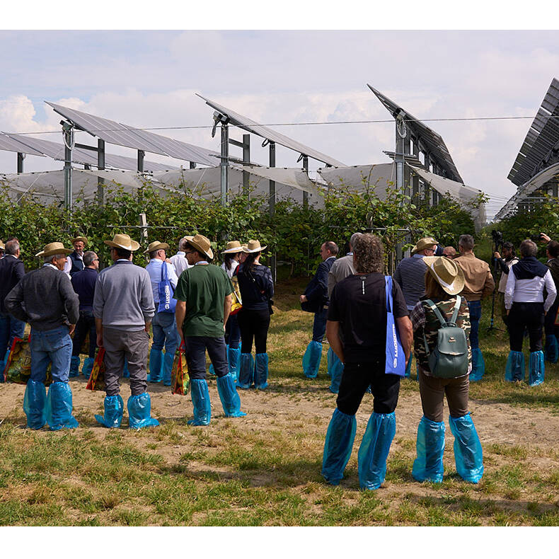 Agrivoltaico in Tour