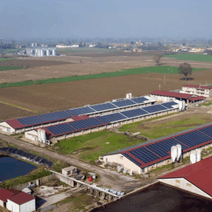Az. Agr. Palazzina ss Impianto di 999,40 kWp – Castelponzone (CR)