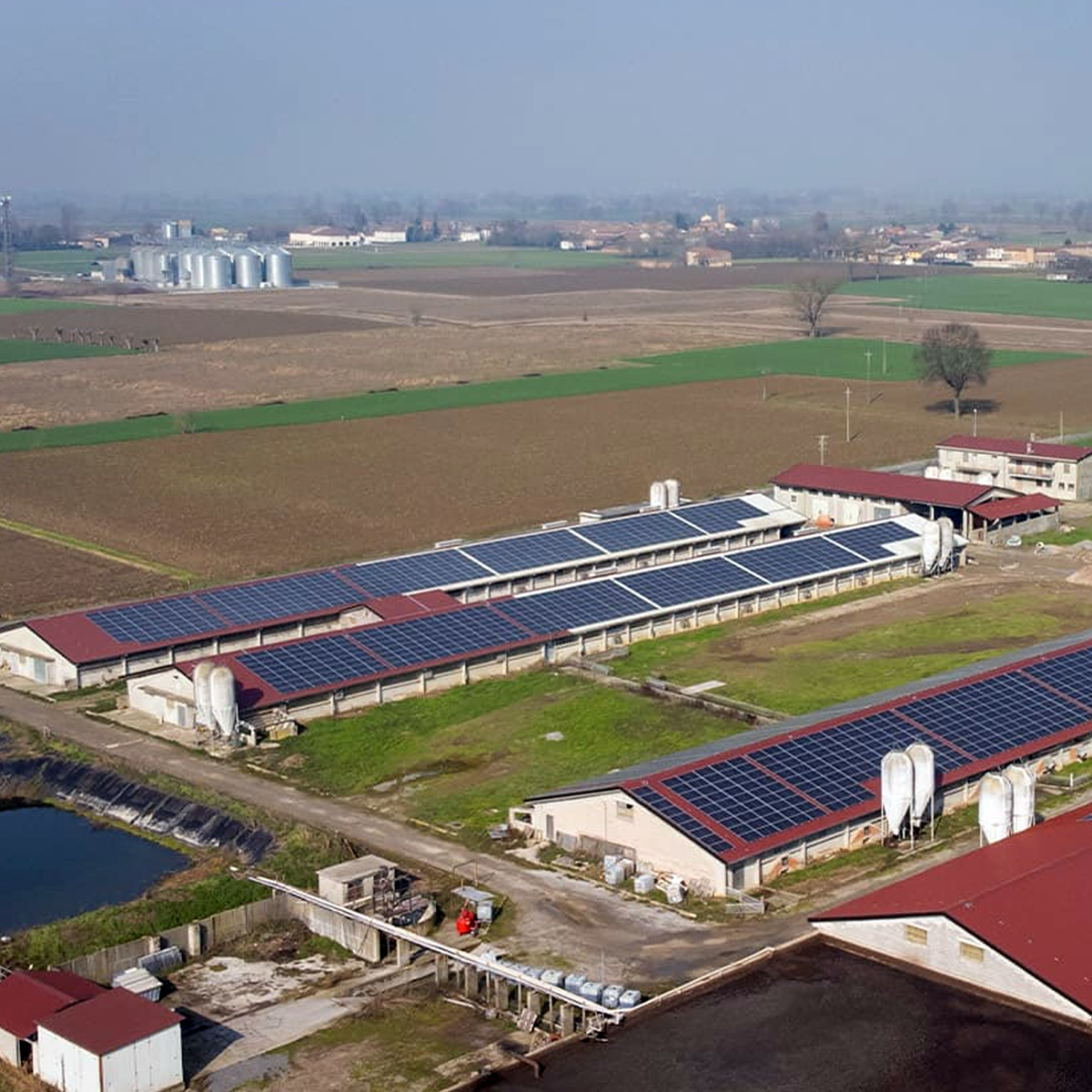 Az. Agr. Palazzina ss