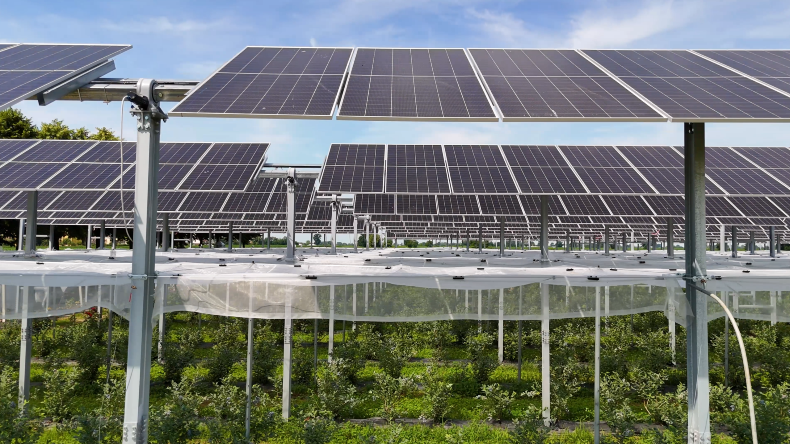 grivoltaico avanzato