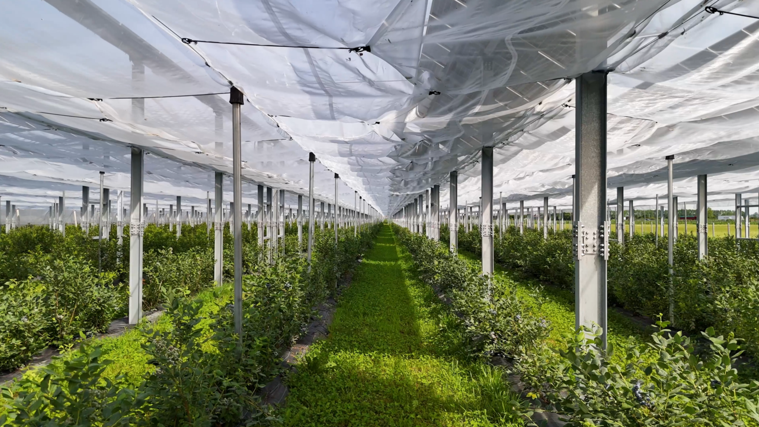 Agrivoltaico avanzato