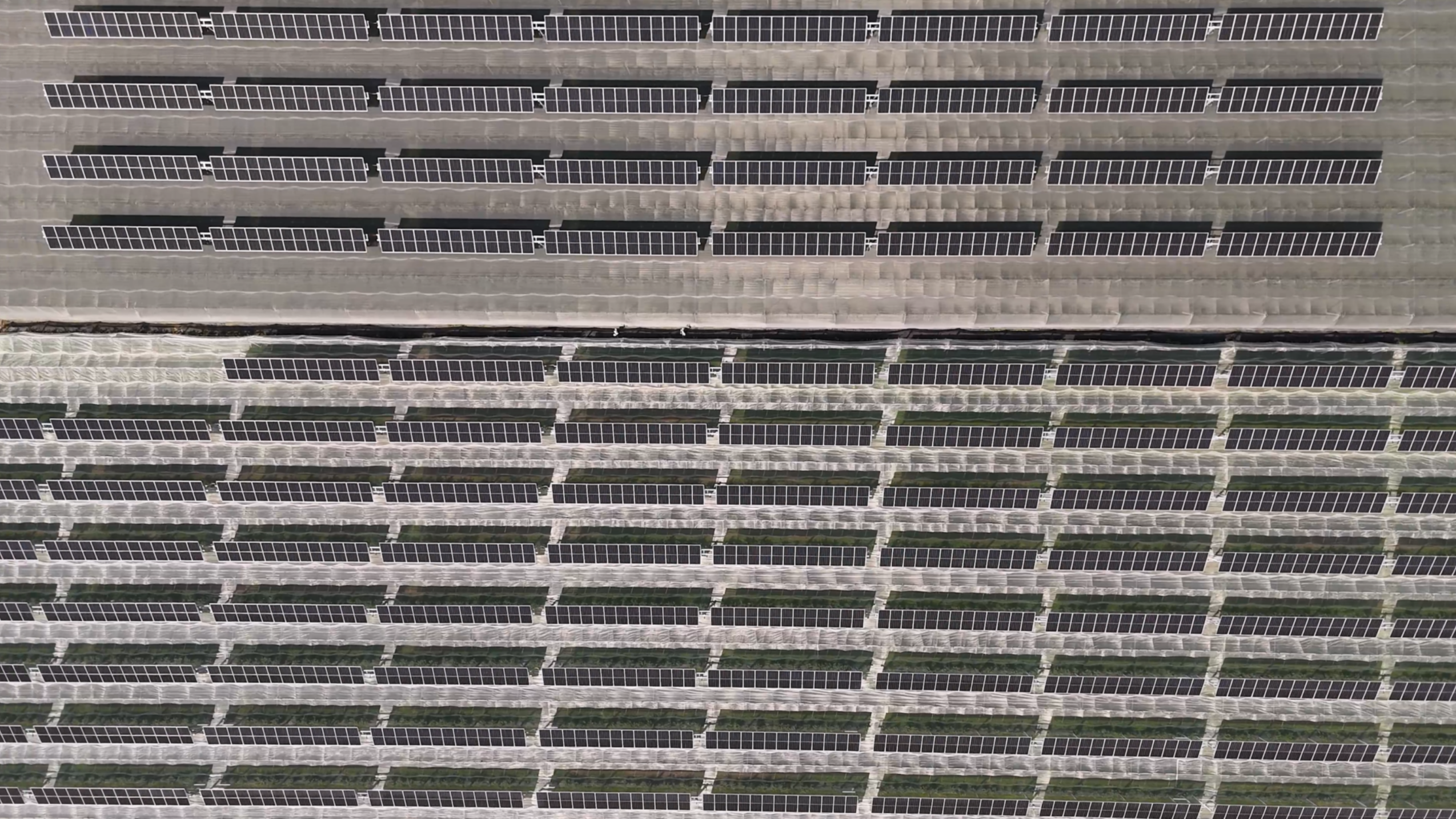 Agrivoltaico avanzato